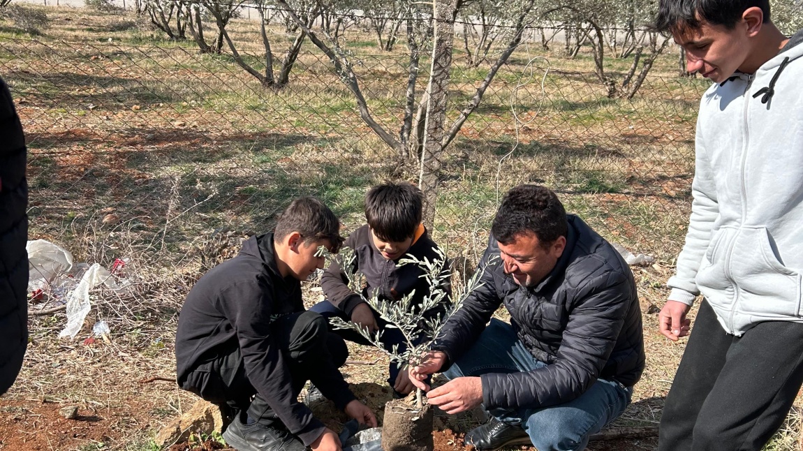 Okul Bahçemize Ağaç Dikimi